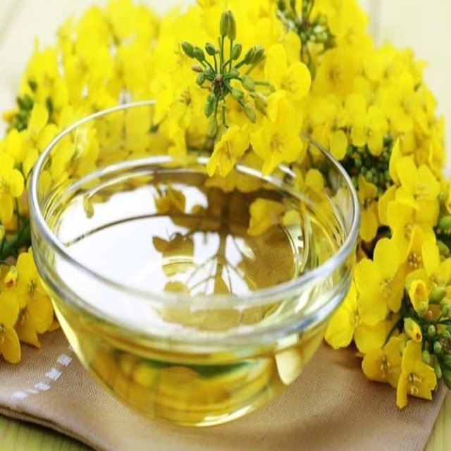 100-PURE-Hot-sale-Refined-Canola-Oil (1)