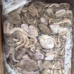 IQF Frozen Octopus