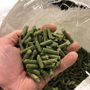 Alfalfa Pellets