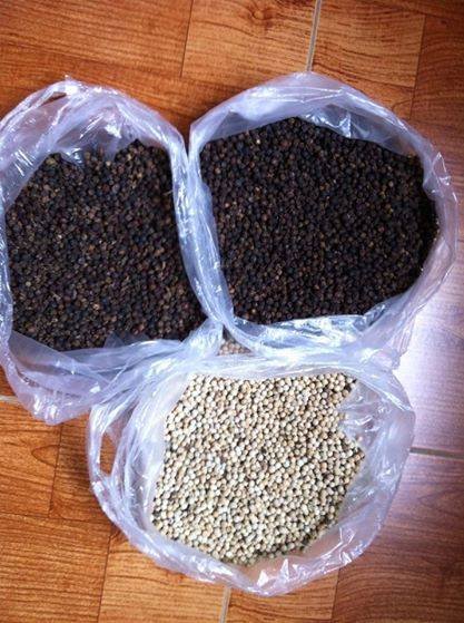 BLACK-PEPPER-SPICES-WHITE-PEPPER-EXPORTER-FACTORY (1)