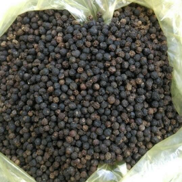 Best-Price-Black-Pepper-from-Vietnam