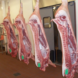 Frozen Pork Parts