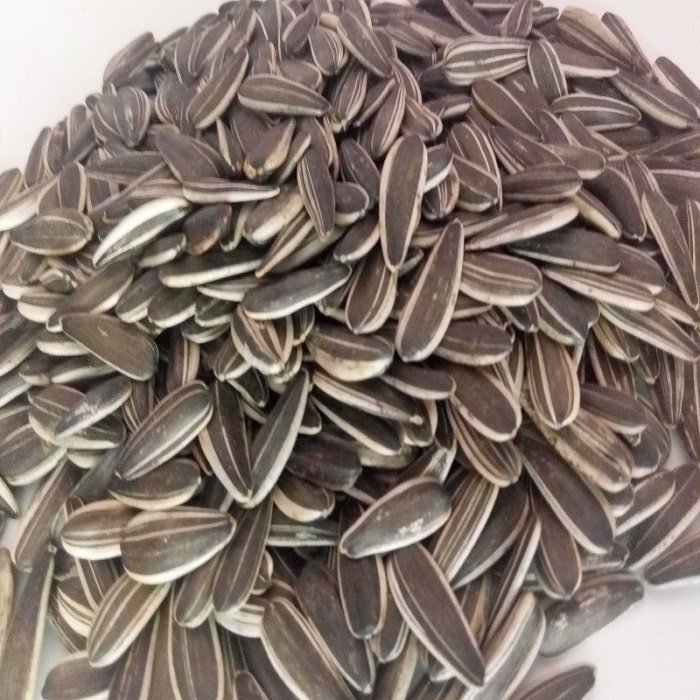 Best-Quality-Raw-Sunflower-Seeds-for-Bulk