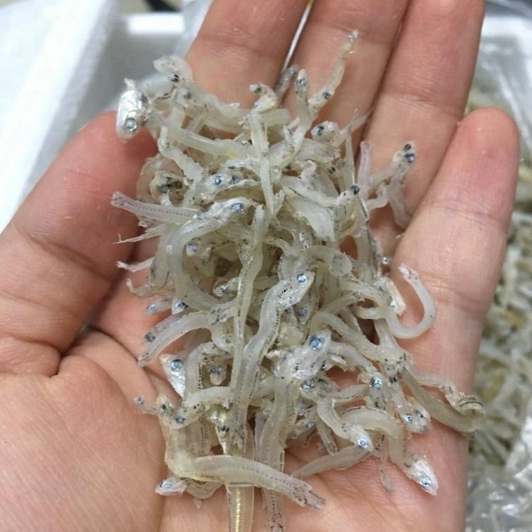 Boiled-dried-baby-anchovy-white-anchovy-dry