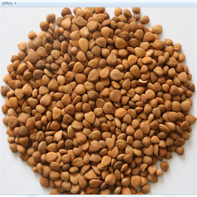 Chinese-bitter-Apricot-kernels-out-of-shell