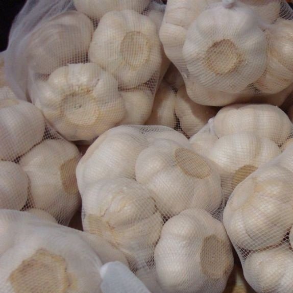 Fresh-Garlic