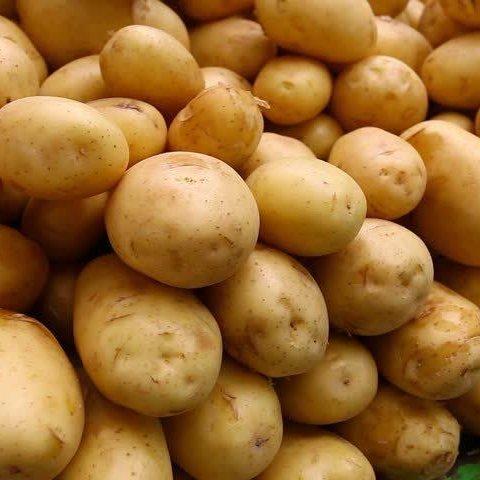 Fresh-High-Quality-Potato