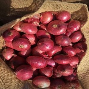 Onions