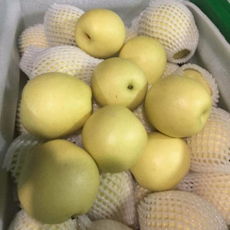Fresh-pear-ya-pear-golden-pear (1)