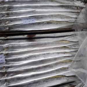 Frozen Ribbon Fish