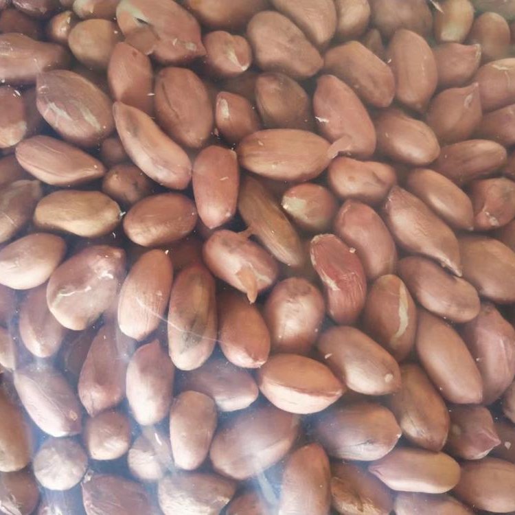 Good-Quality-Raw-Peanuts-pea-nut-Roasted (1)