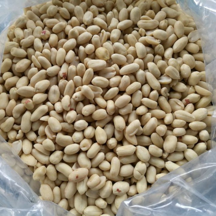 Good-Quality-Raw-Peanuts-pea-nut-Roasted (2)
