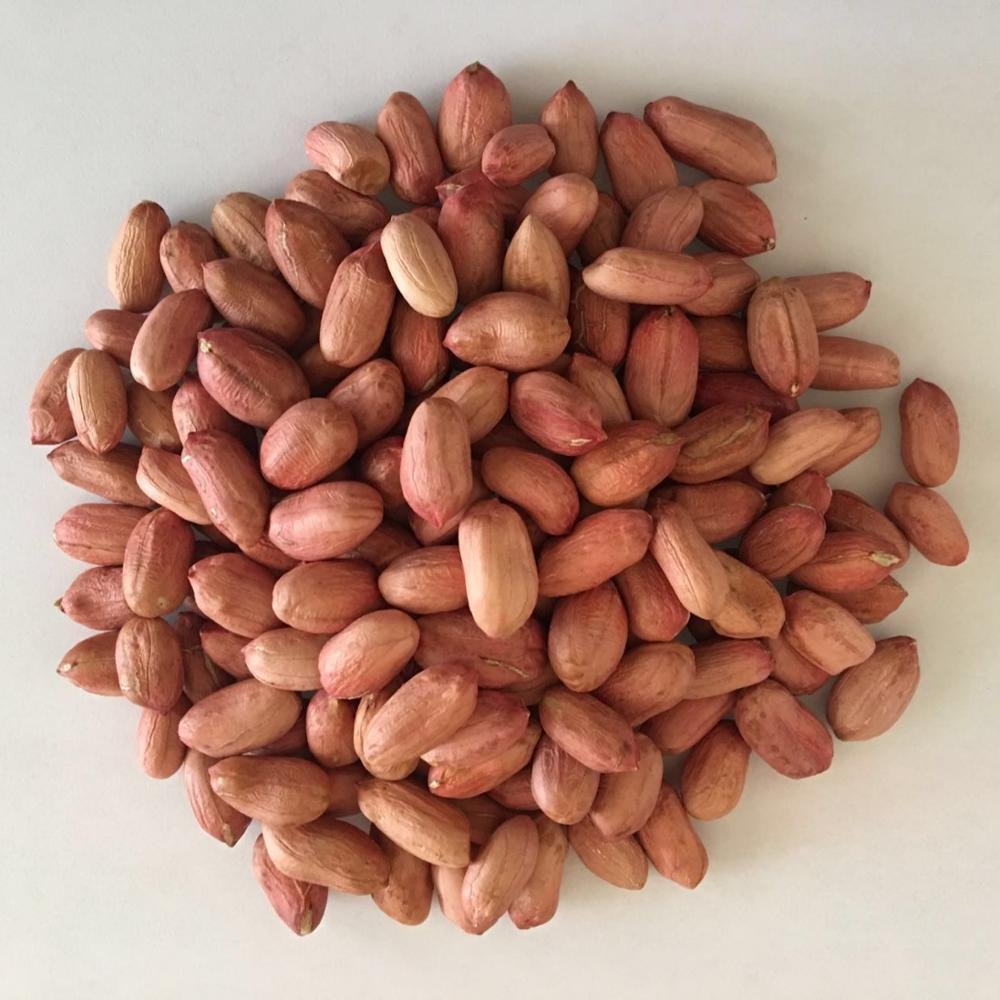 Good-Quality-Raw-Peanuts-pea-nut-Roasted