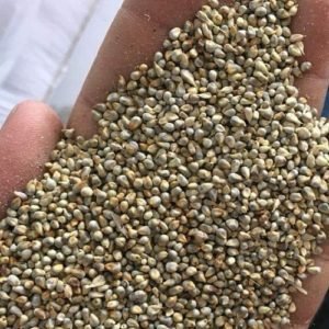Millet