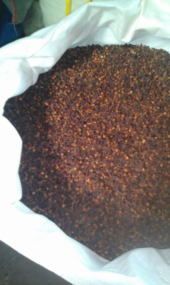 High-Quality-Cloves-Lalpari-from-Indonesia (1)