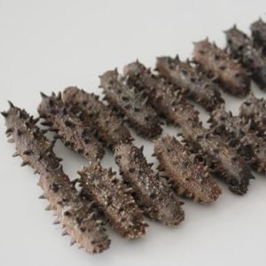 Dried Sea Cucumber