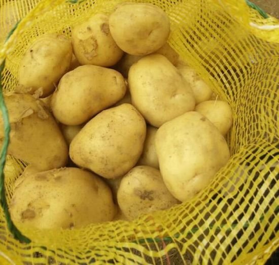 New-harvest-2018-fresh-potatoes-Suppliers-and (1)