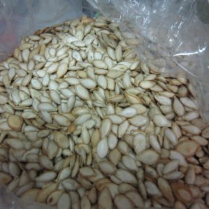 Pumpkin Seed