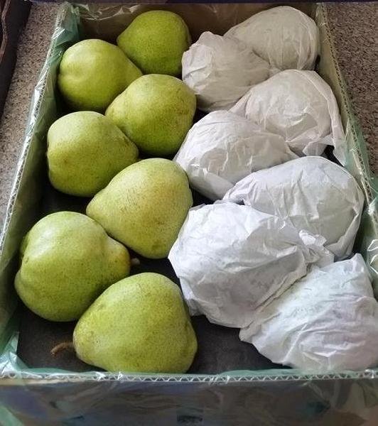 Quality-Fresh-Pears