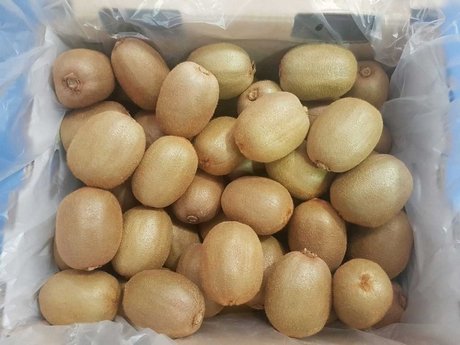 SeekaAus_Kiwis