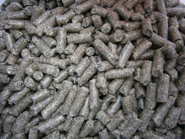 Sunflower-meal.jpg_640x640