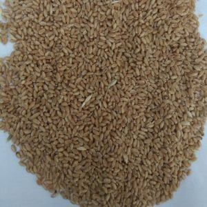Wheat