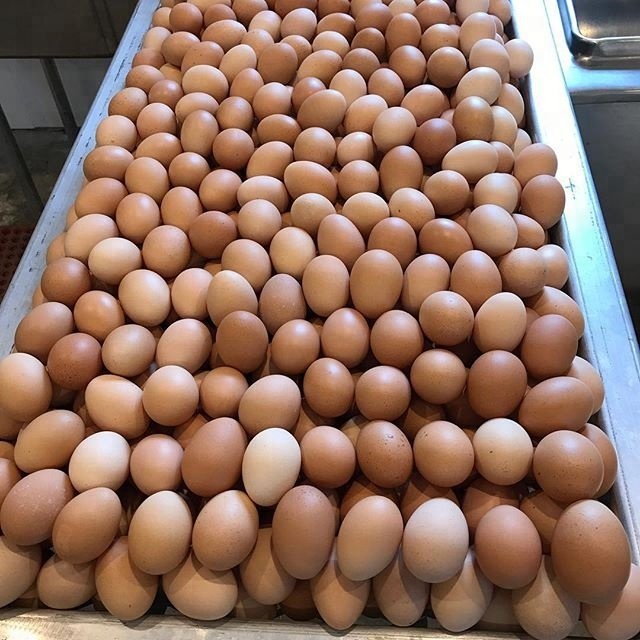 White-and-Brown-Chicken-Eggs-Fresh-Table