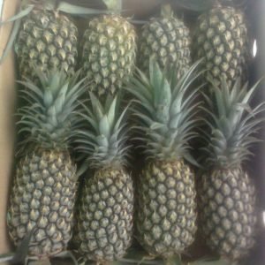 Fresh Pineapple