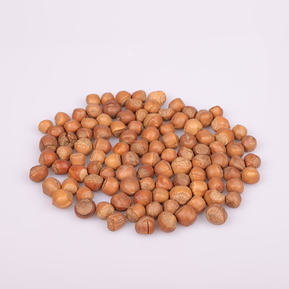 Wholesale-Organic-hazelnuts-without-shell-for-sale