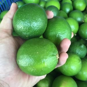 Limes