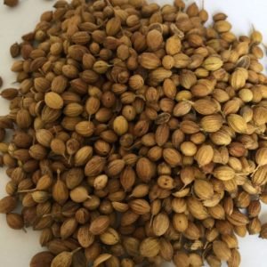 Coriander Seed 