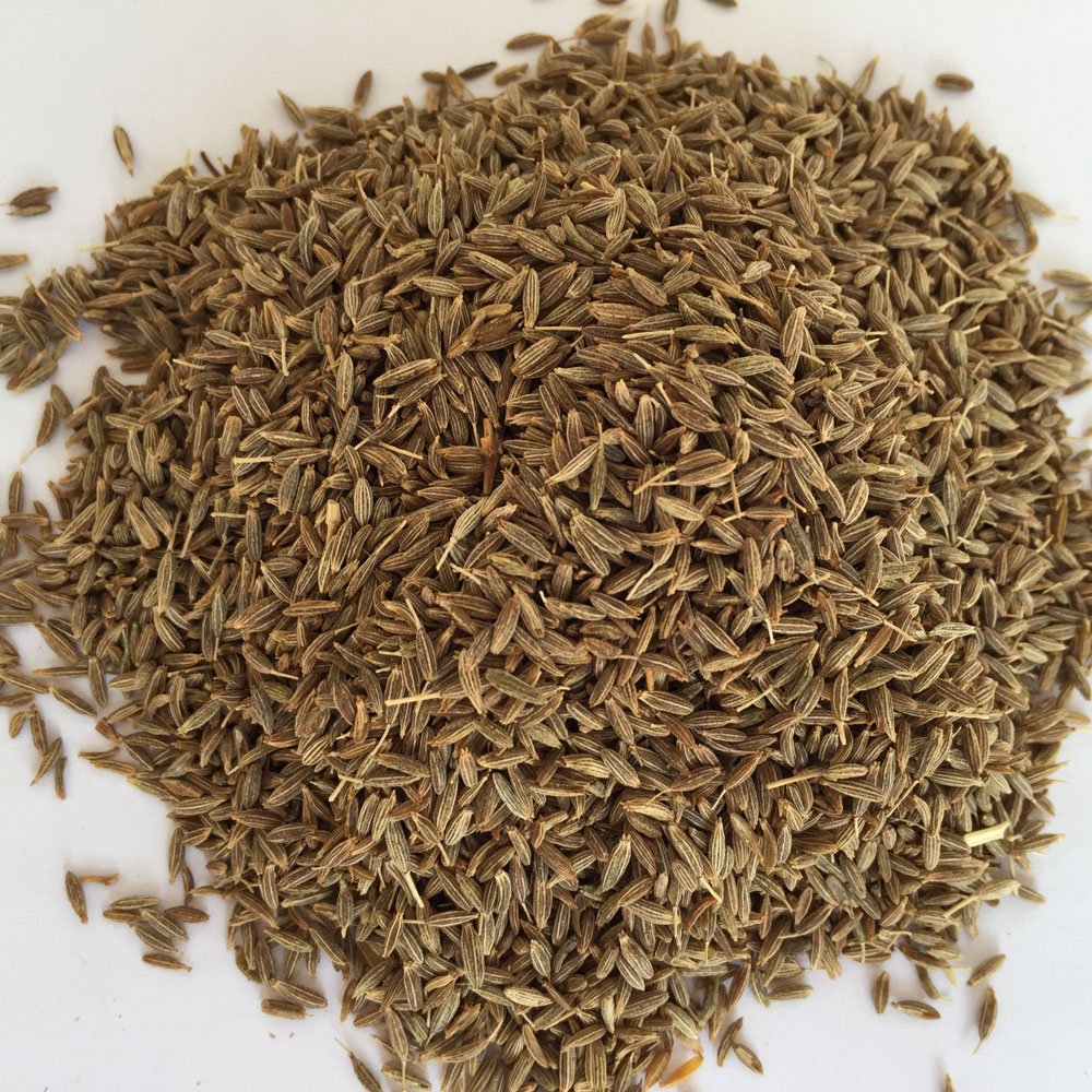 cumin-seed (1)