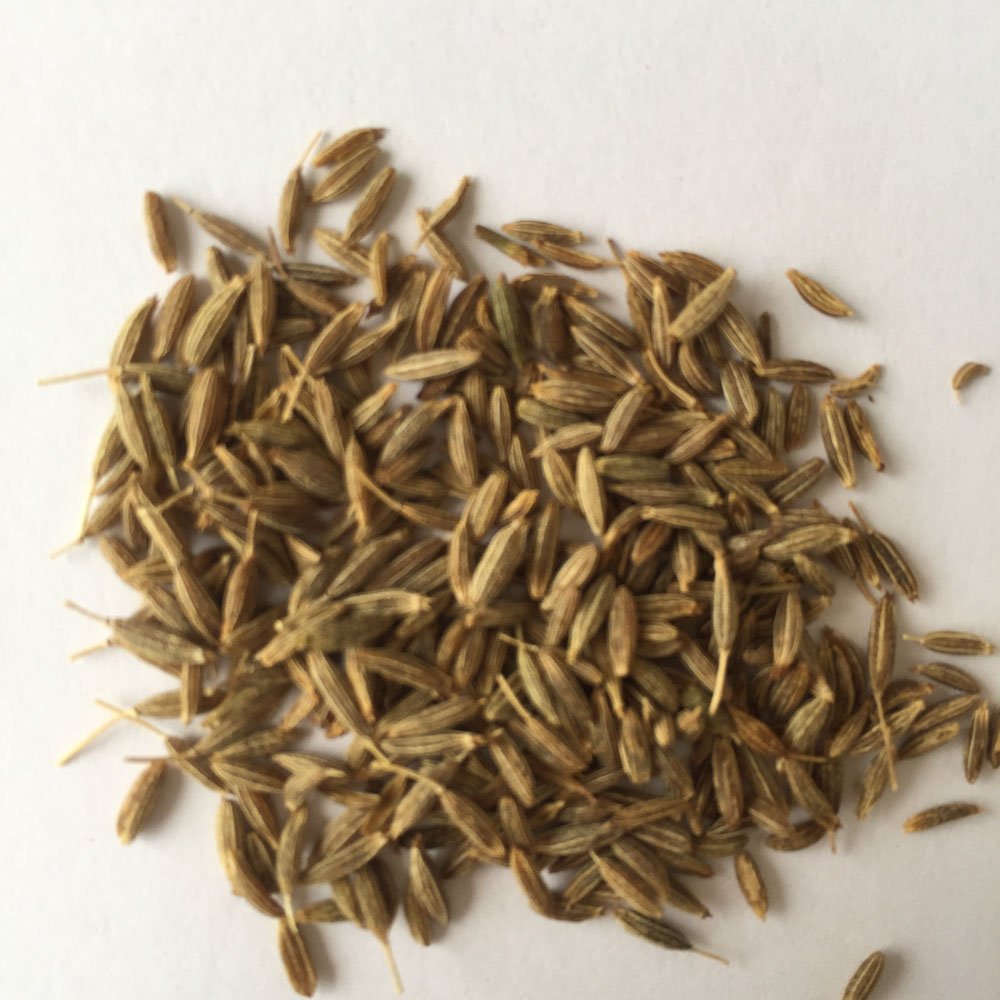cumin-seed (2)