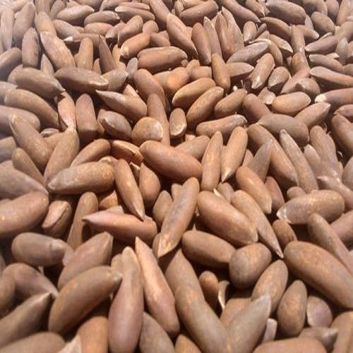factory-direct-selling-natural-opened-afghan-pine