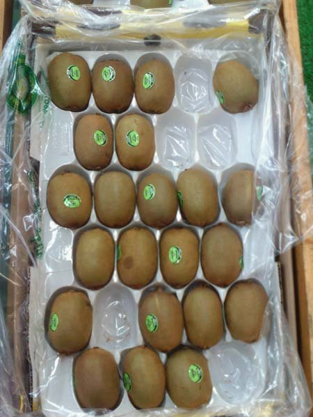 fresh-kiwi-fruit-packaging-tray-855407