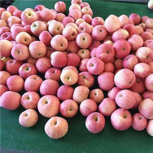 Fresh Apple