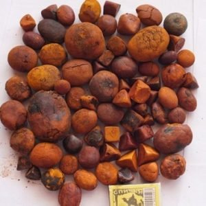 Ox / Cow Gallstone