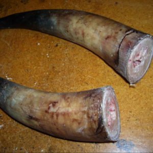 Raw Buffalo / OX / Cow Horn