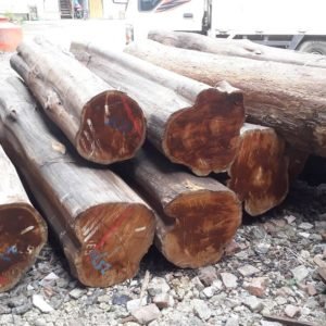 Wood Logs